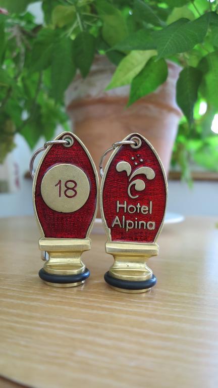 Hotel Alpina Davos Zewnętrze zdjęcie