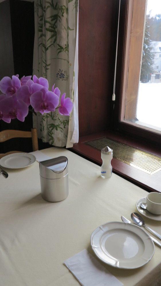 Hotel Alpina Davos Zewnętrze zdjęcie