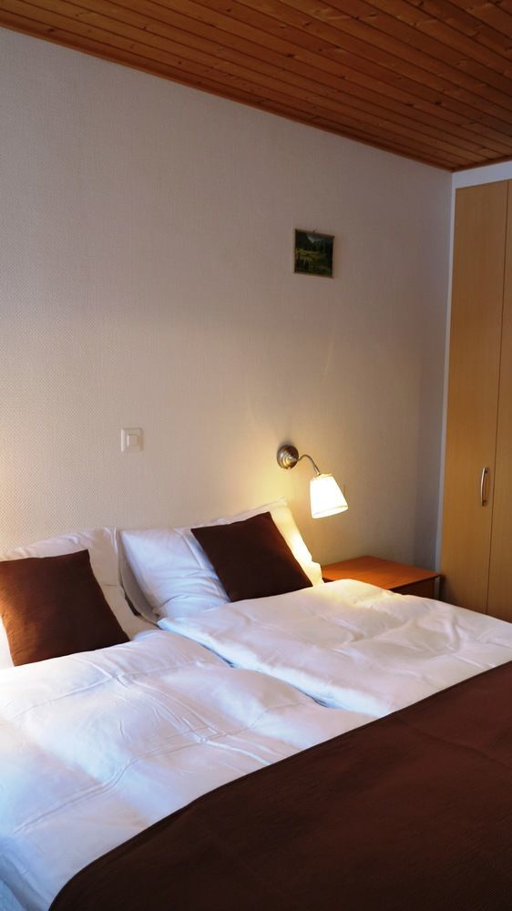 Hotel Alpina Davos Zewnętrze zdjęcie